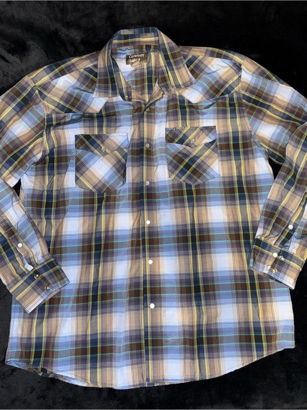 Men's Plaid Button-Down Shirt in Blue and Brown